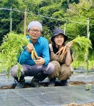 種子島　榎本農園