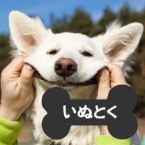 いぬとく