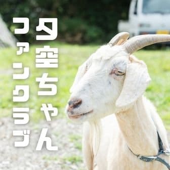 ファンクラブ