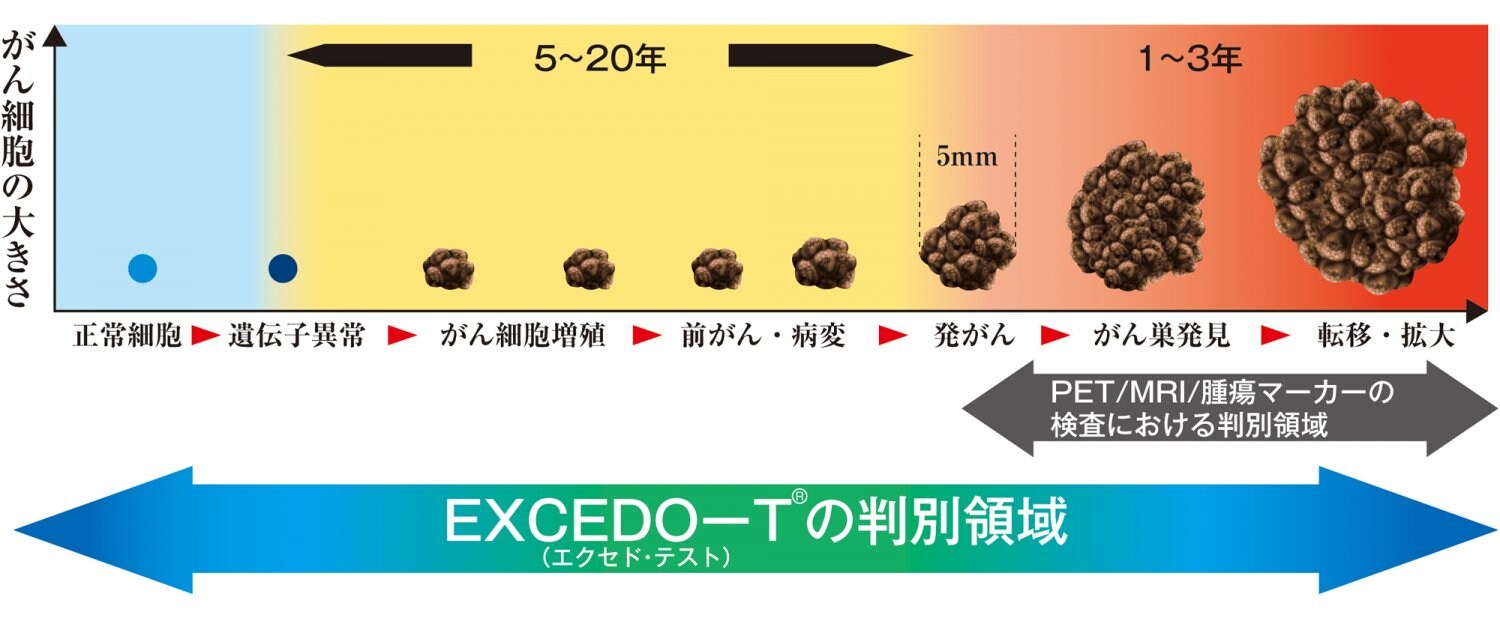 超早期がん検査：EXCEDO-T®（エクセド・テスト）