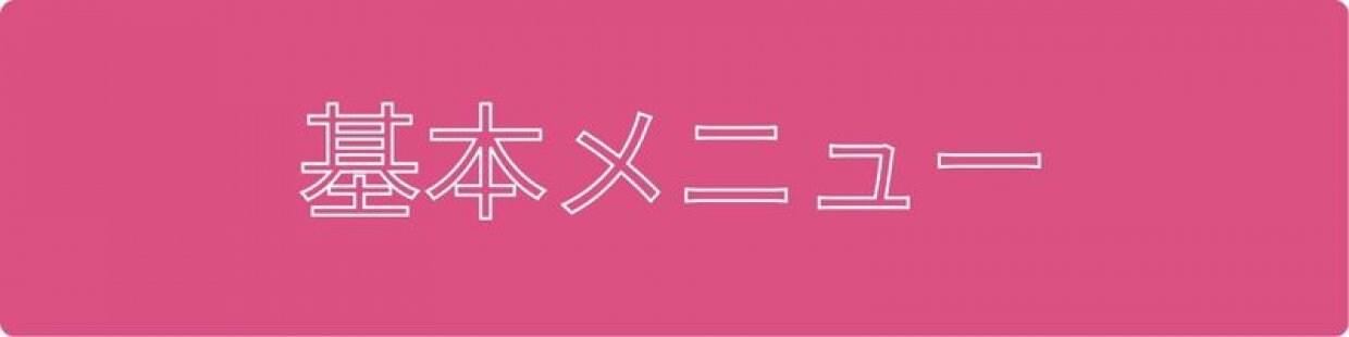 BACISTYLE バーチスタイルエステフランチャイズシステム