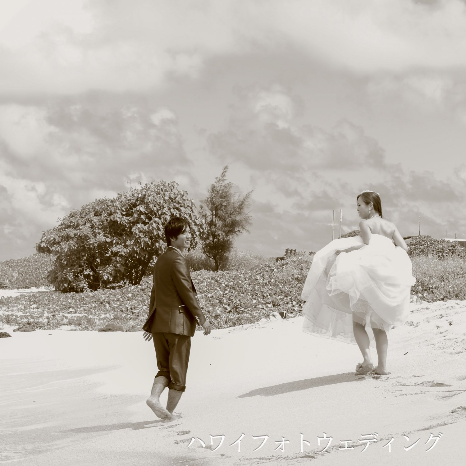 ビートフォトウェディングの場合