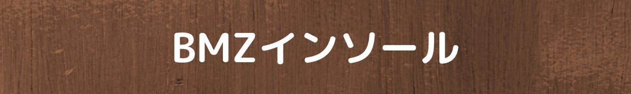 BMZインソール　愛媛県西予市　おかだ整骨院・整体院　捻挫、肉離れ、オスグッドなどスポーツ障害ならお任せください。腰痛、肩凝り、自律神経治療もご相談ください。交通事故治療専門院。