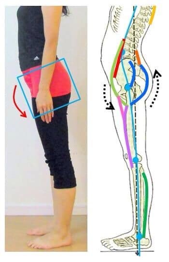 コアシンクEMSコースのご案内 愛媛県西予市 おかだ整骨院・整体院 捻挫、肉離れ、オスグッドなどスポーツ障害ならお任せください。腰痛、肩凝り、自律神経、交通事故治療もご相談ください。