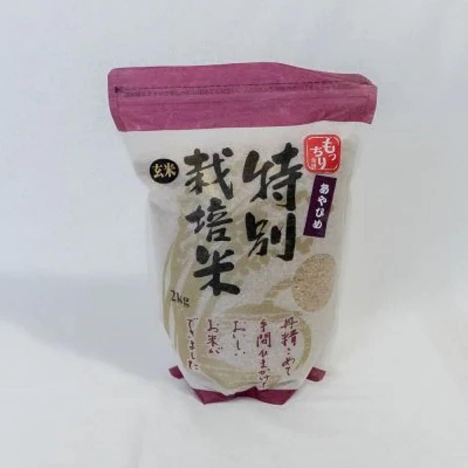 北海道　井伊農園　あやひめ　お米