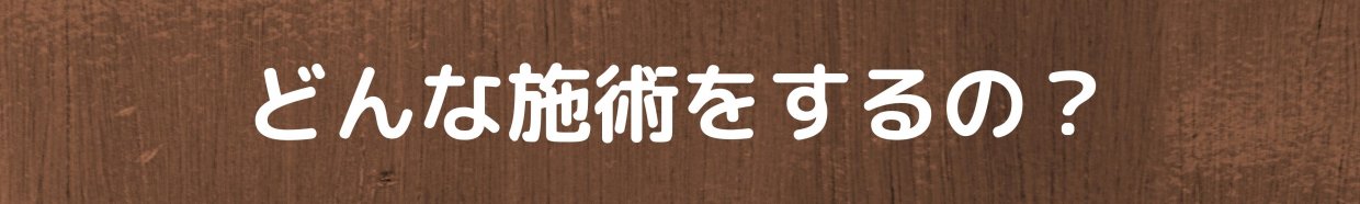 どんな施術をするの?E.F.A.S(運動機能分析システム)というAIを活用した調整を行います。