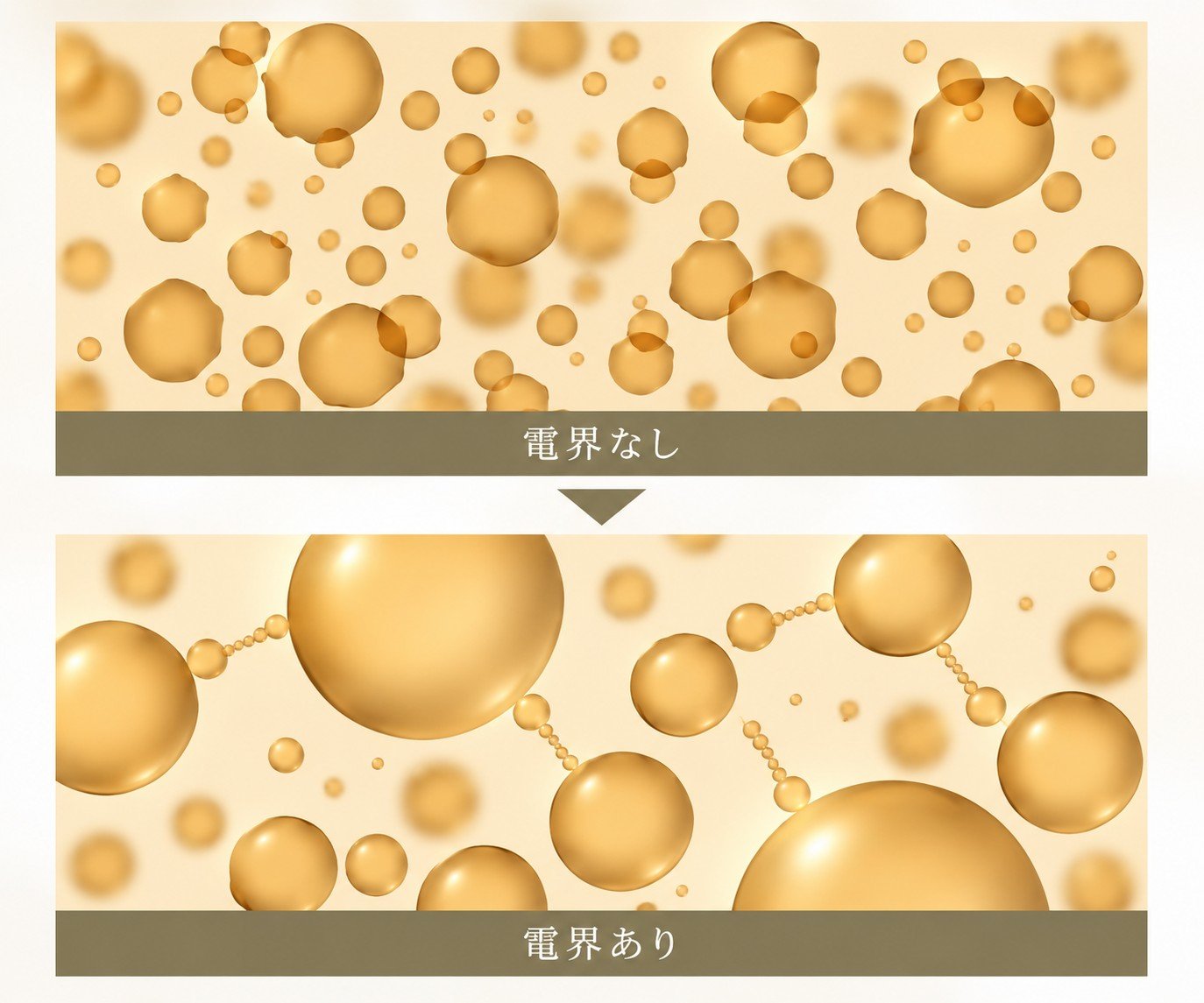 水分子バランス