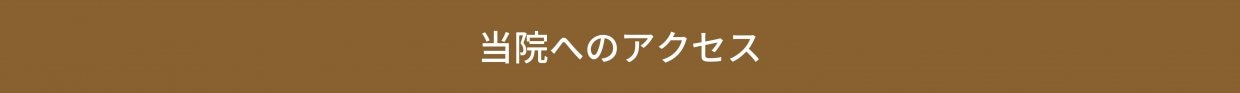 大阪市福島区のストレートネック、骨盤矯正専門のカイロプラクティック整体ヘンミ　首の痛み、肩こり、手のシビレ、腰痛、坐骨神経痛、頭痛、めまい、頚椎症、自律神経失調症でお悩みの方は当院にお任せください。