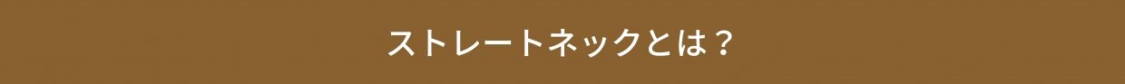 大阪市福島区のストレートネック、骨盤矯正専門のカイロプラクティック整体ヘンミ　首の痛み、肩こり、手のシビレ、腰痛、坐骨神経痛、頭痛、めまい、頚椎症、自律神経失調症でお悩みの方は当院にお任せください。