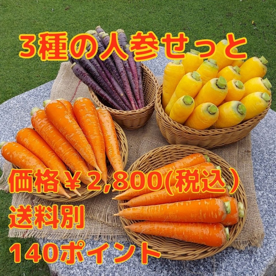 【群馬県産】オレンジ人参・黄色人参・黒人参の3種類の食べ比べセット