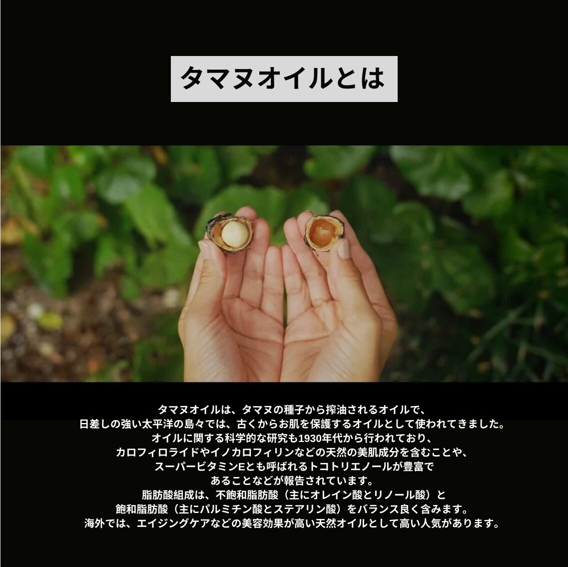 タマヌオイルとは？