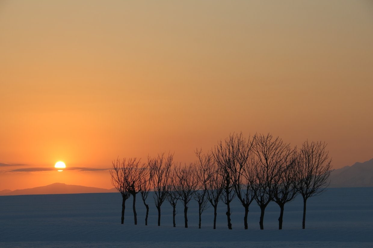 はさ木の朝焼け