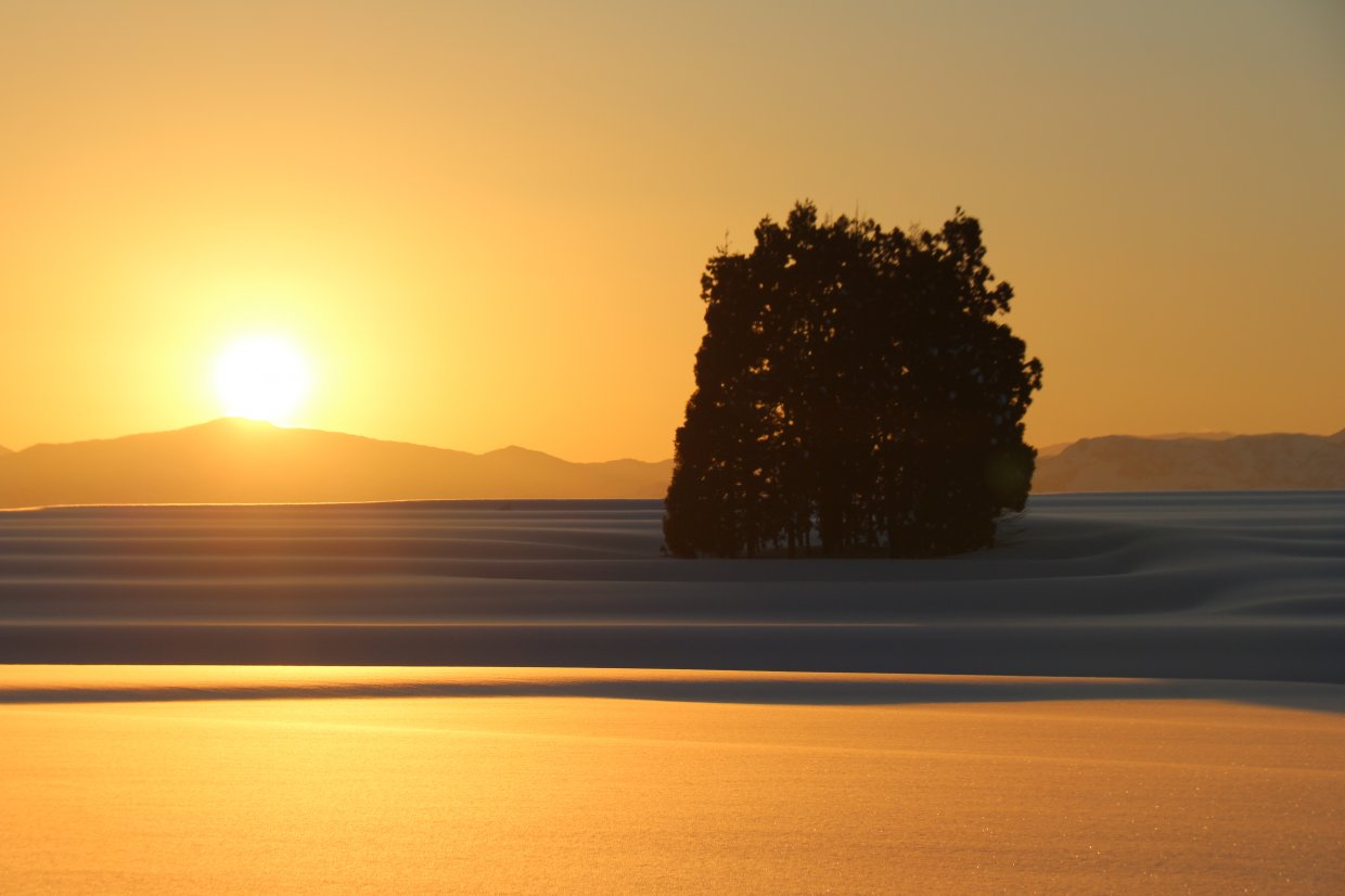 オレンジ色の雪原