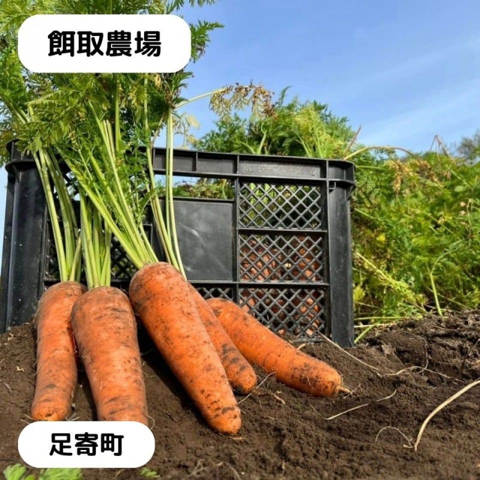 十勝足寄 餌取農場（えとり のうじょう）