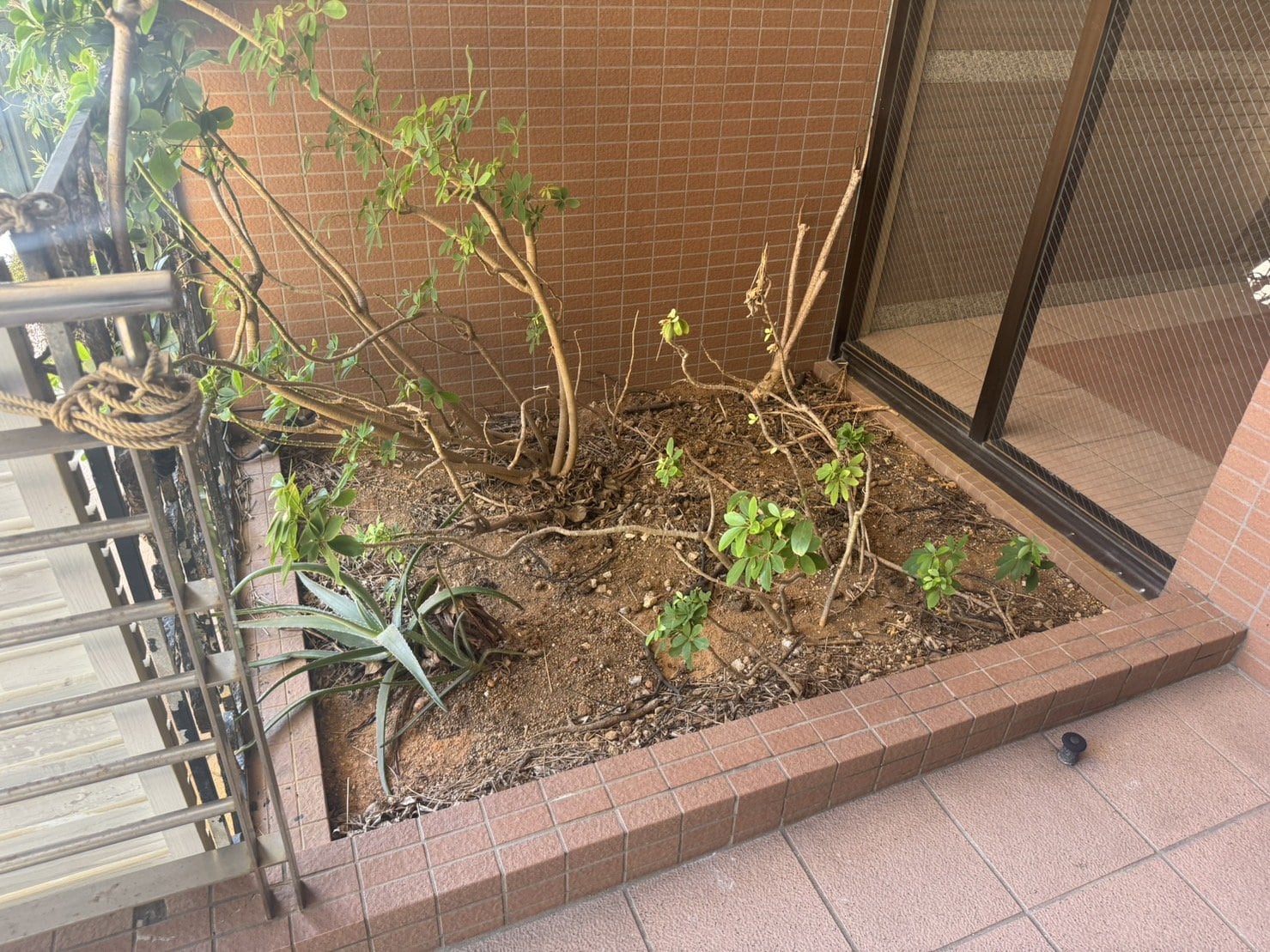 あいでん施工実績１２