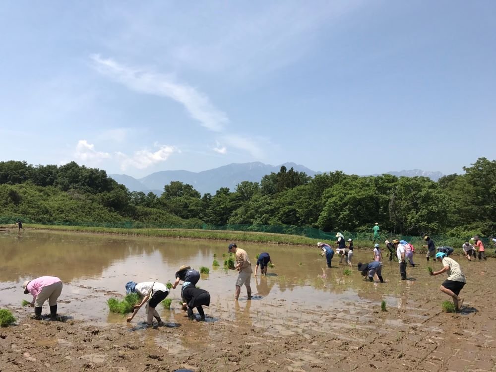 コタロハファーム_農業コミュニティーの誕生