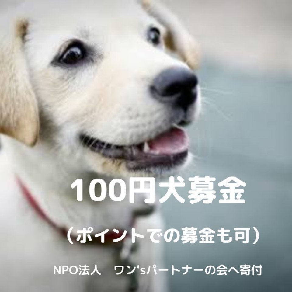 保護犬