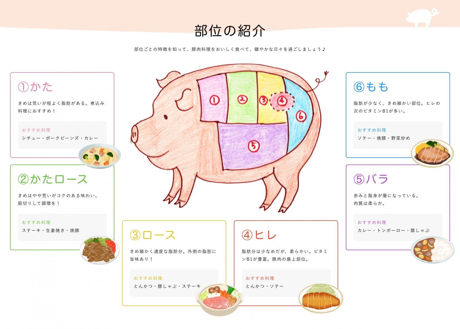 豚肉の豚肉の部位とレシピ紹介