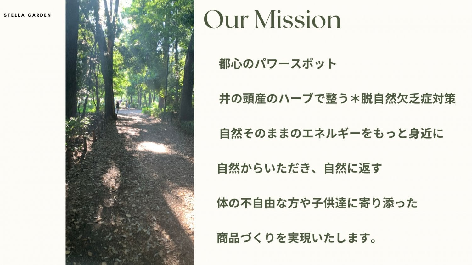 Mission