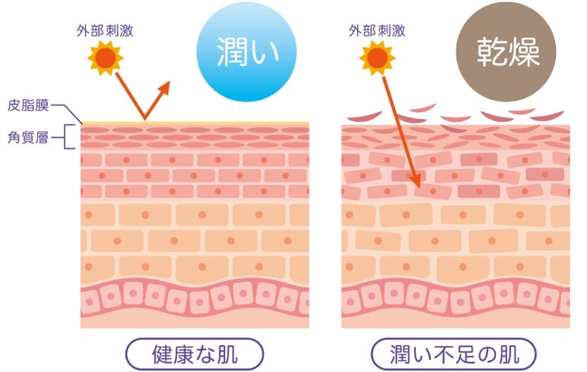 おおがの宿湧水美人