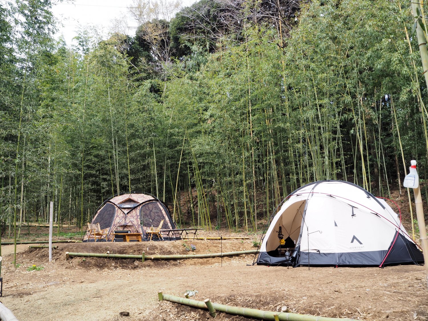 千葉県八千代市の竹林キャンプ場【CAMPかぐや】竹のゆらぎと鳥のさえずりで癒されるプライベート空間のようなキャンプ場