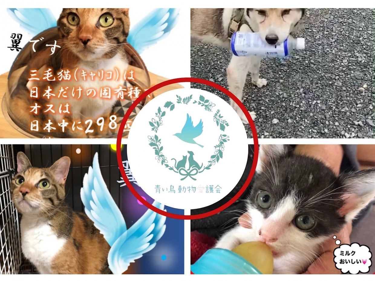 NPO法人青い鳥動物愛護会