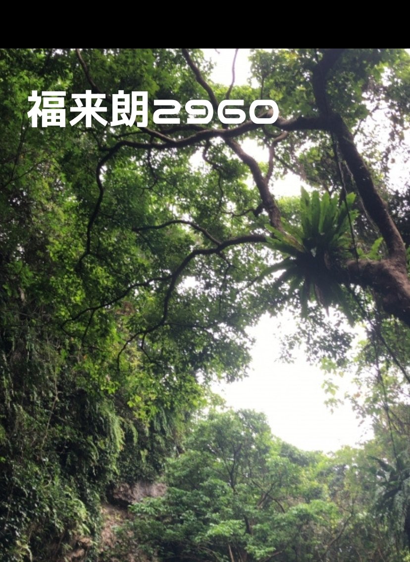 福来朗とは・・・