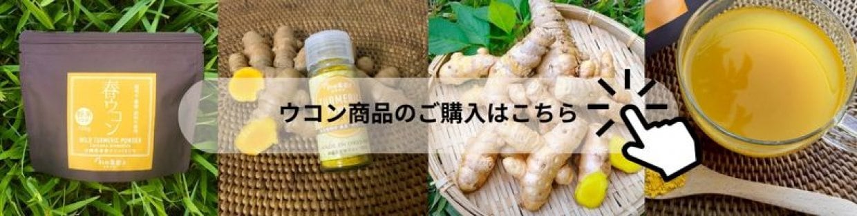 杉田農園おきなわ 公式通販 自然栽培 ウコン