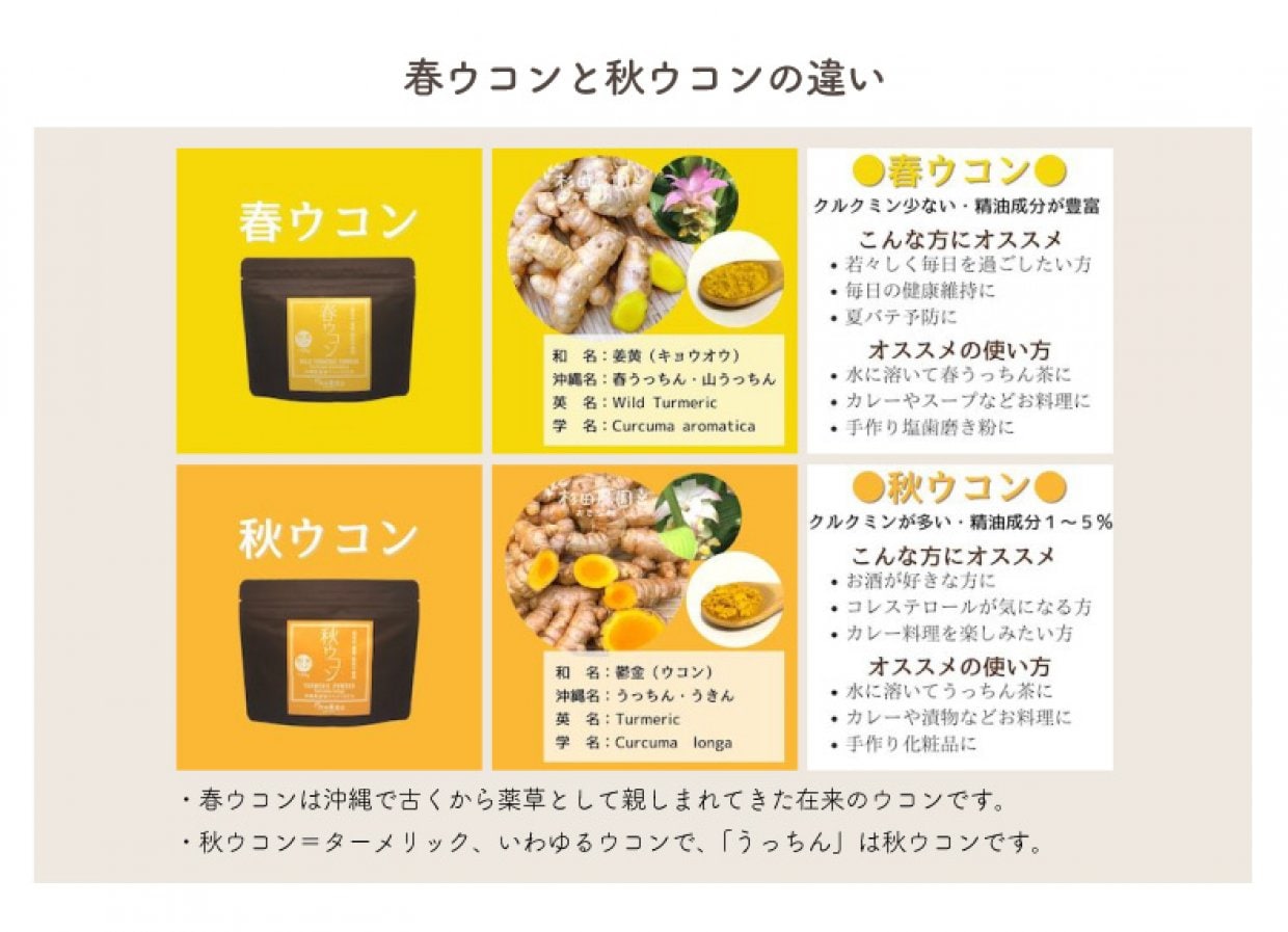 春ウコンと秋ウコンの違い