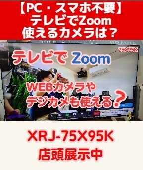 テレビでZoom WEBカメラやデジカメも使える？