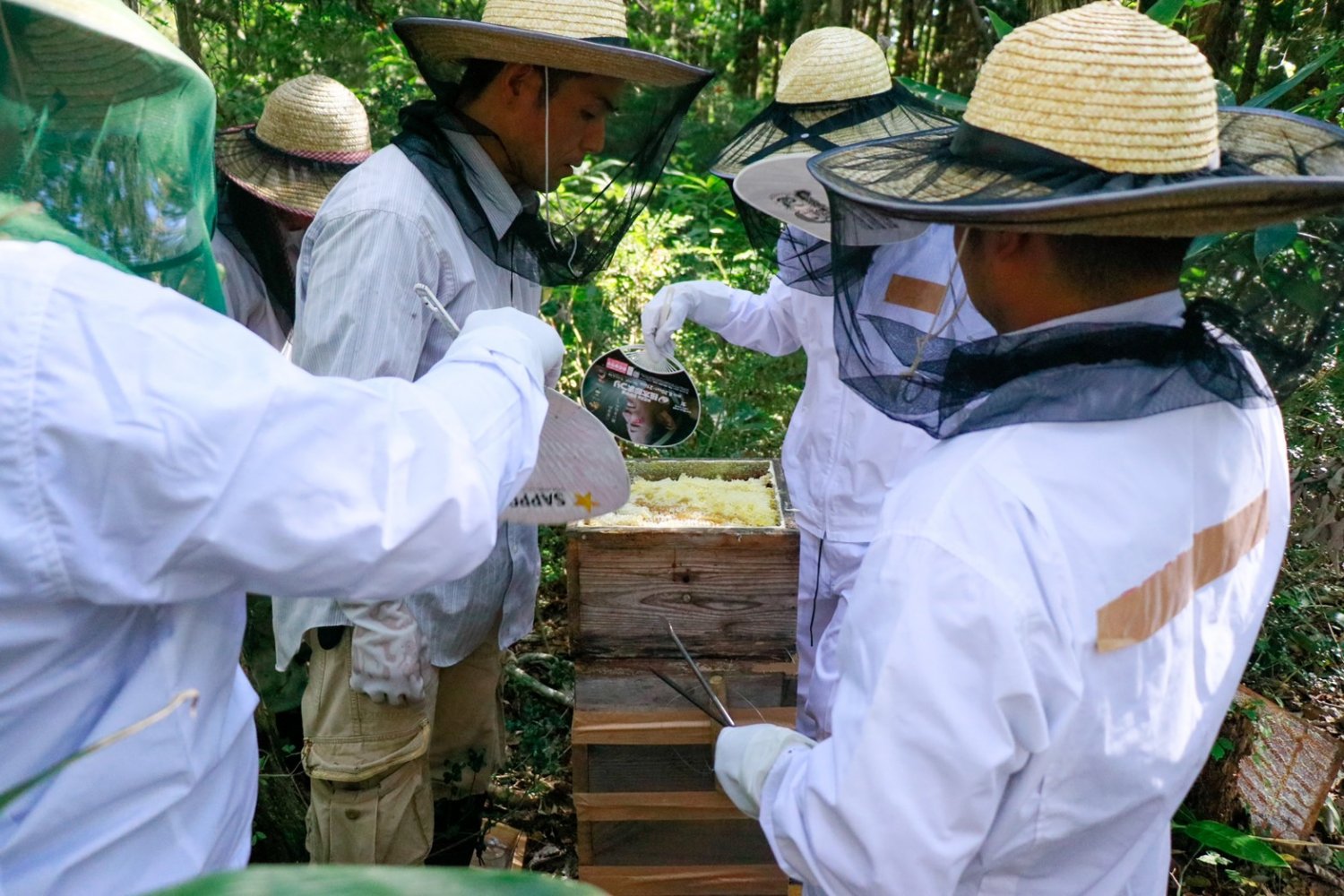 蒜山高原二ホンミツバチの採蜜