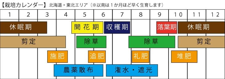 栽培カレンダー
