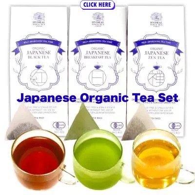 Japanese Organic Tea Set