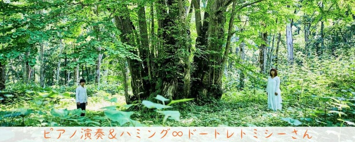 ドートレトミシー