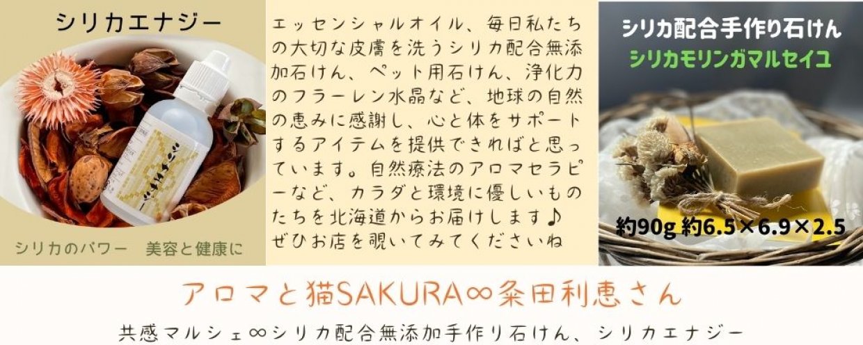 シリカエナジー