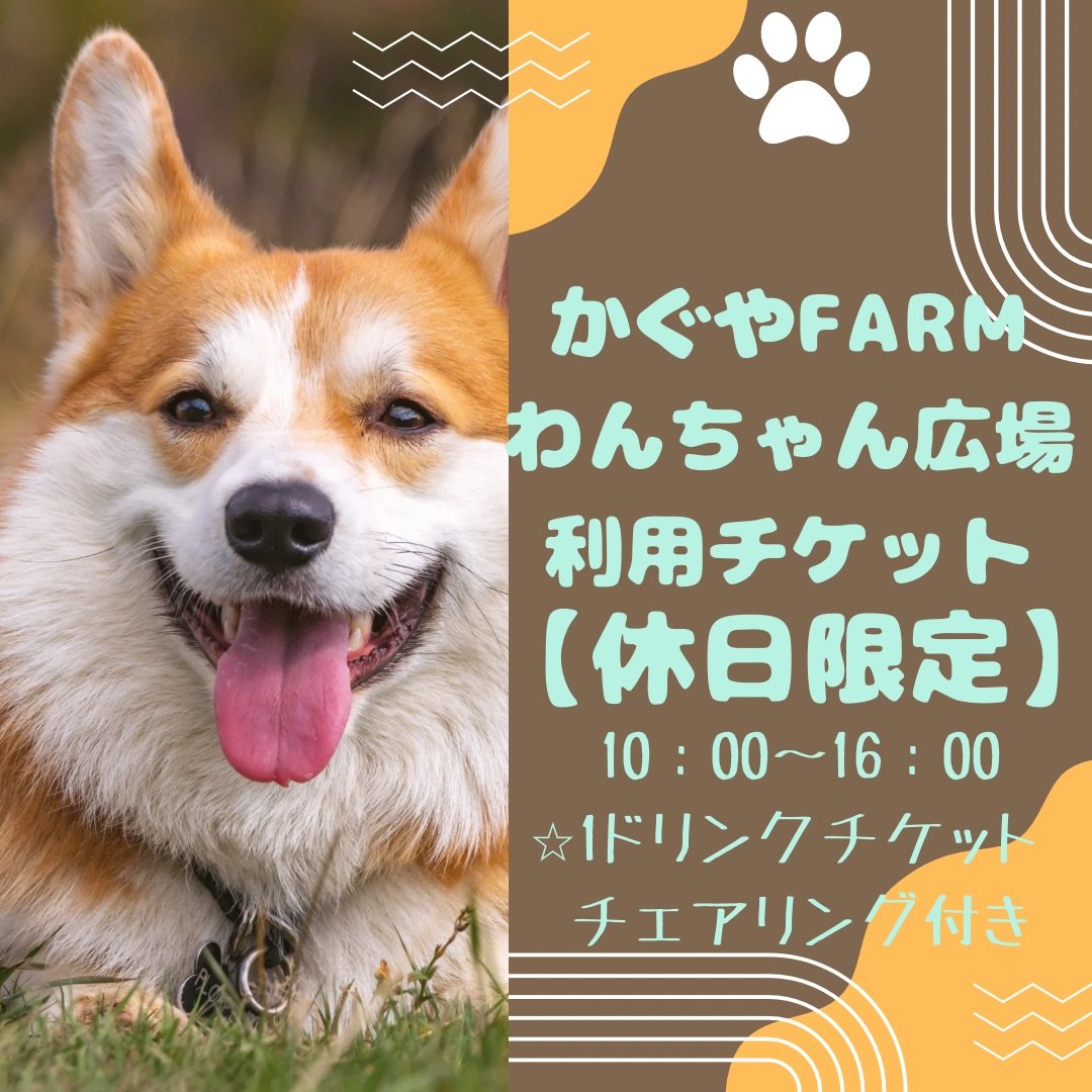 【休日限定】わんちゃん広場利用チケット