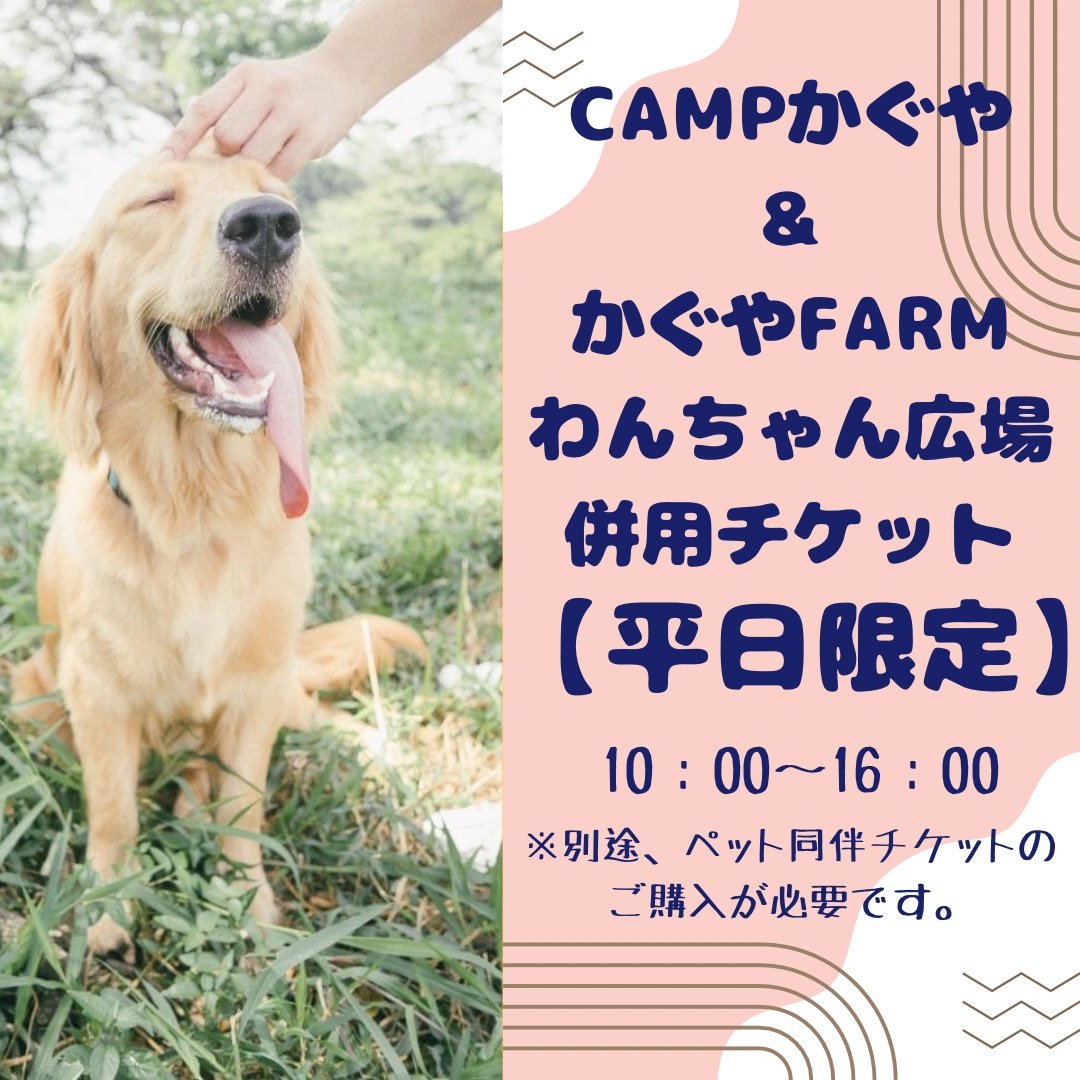 【平日限定】CAMPかぐや利用者わんちゃん広場併用チケット