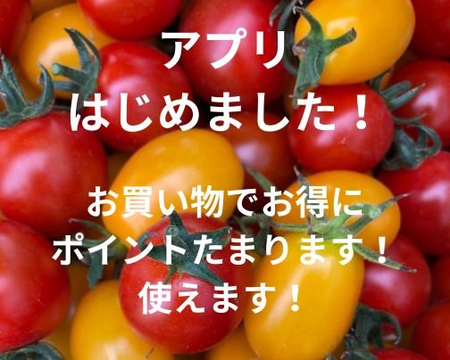 アプリはじめました