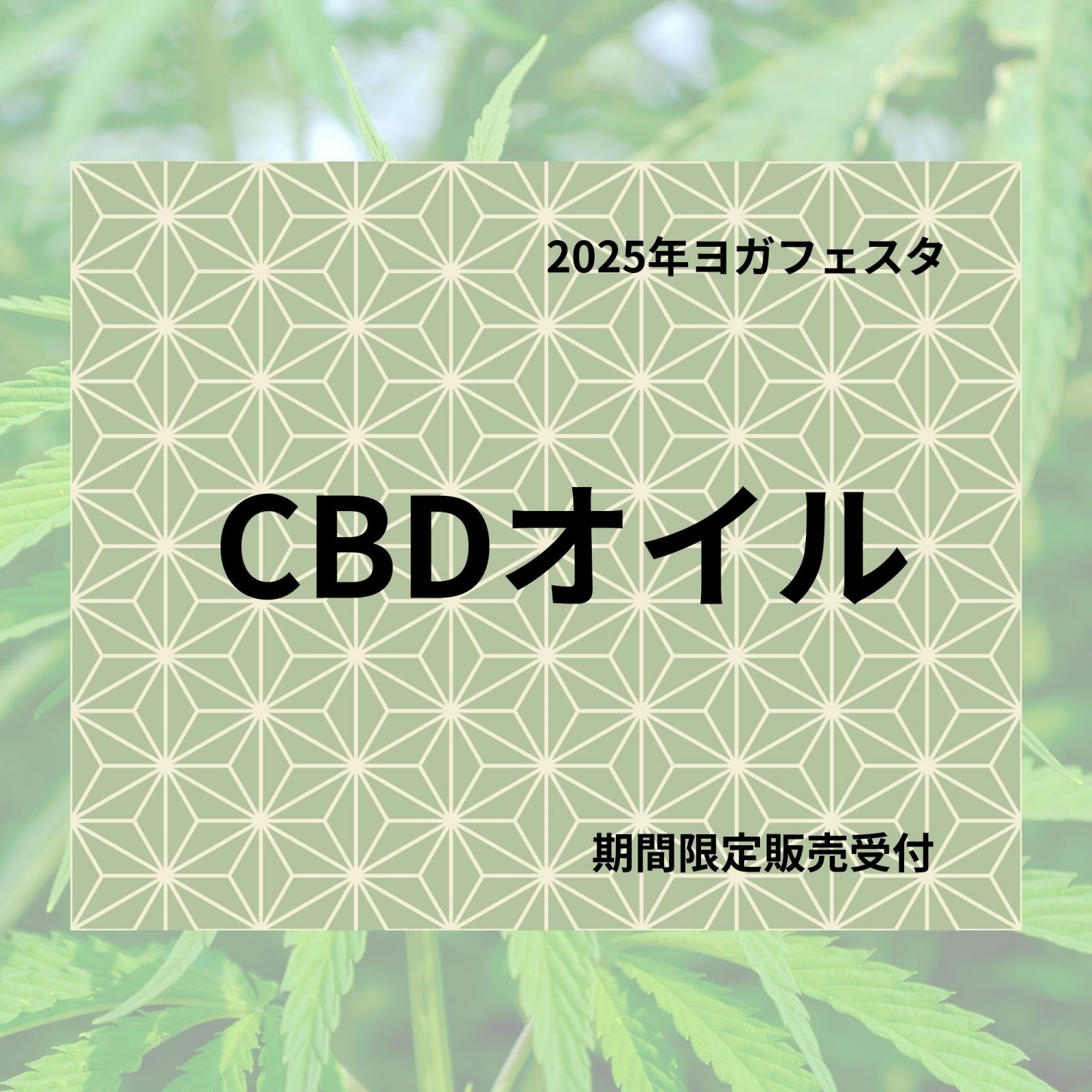 ＣＢＤオイル