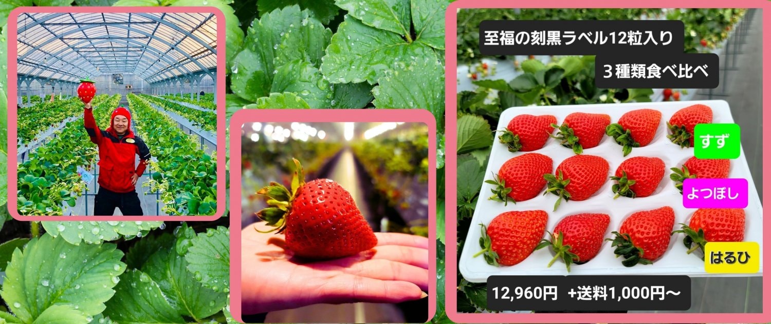 strawberry farm　まあと工房