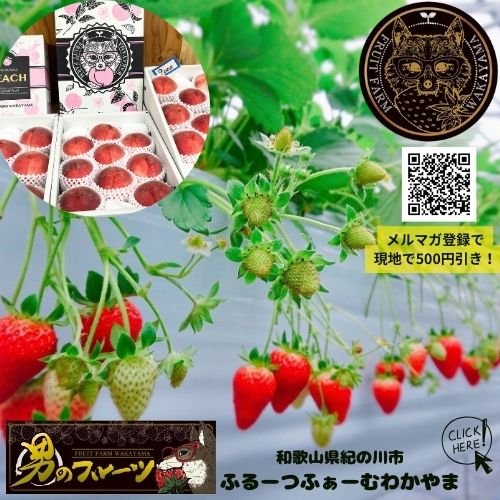 ふるーつふぁーむわかやま