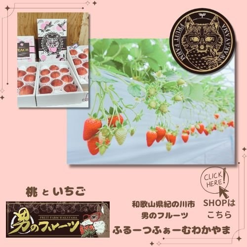 ふるーつふぁーむわかやま