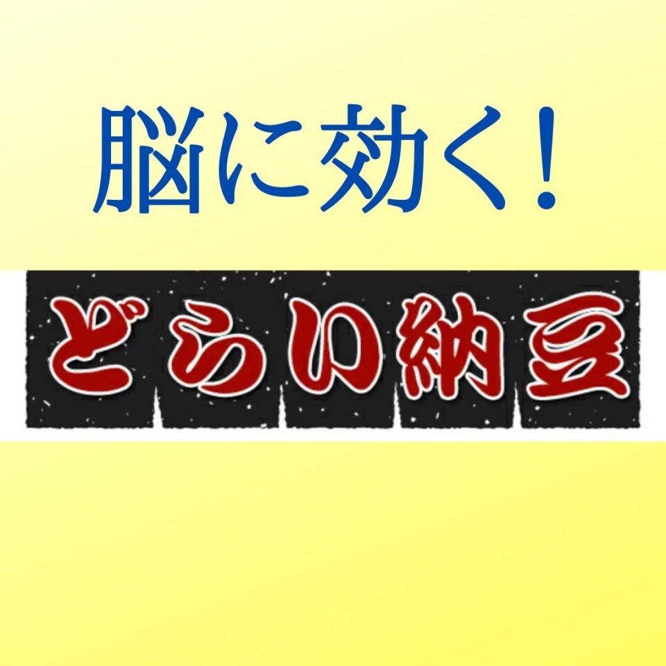 脳に効く!どらい納豆