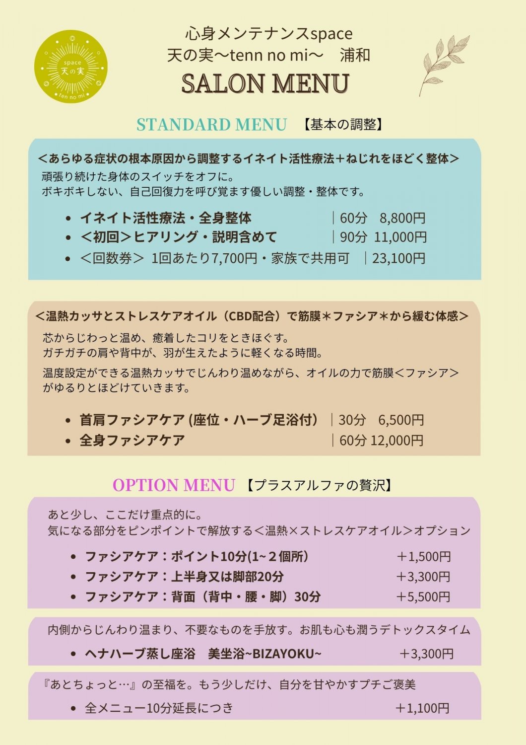 天の実サロンメニュー＜スタンダード・オプション＞
