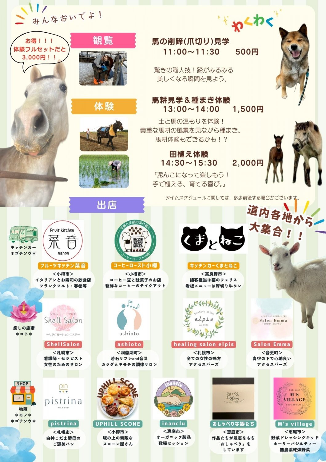 M'sフェス2025 チラシ裏