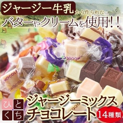 ジャージーミックスひとくちチョコレート300g【メーカー直送】