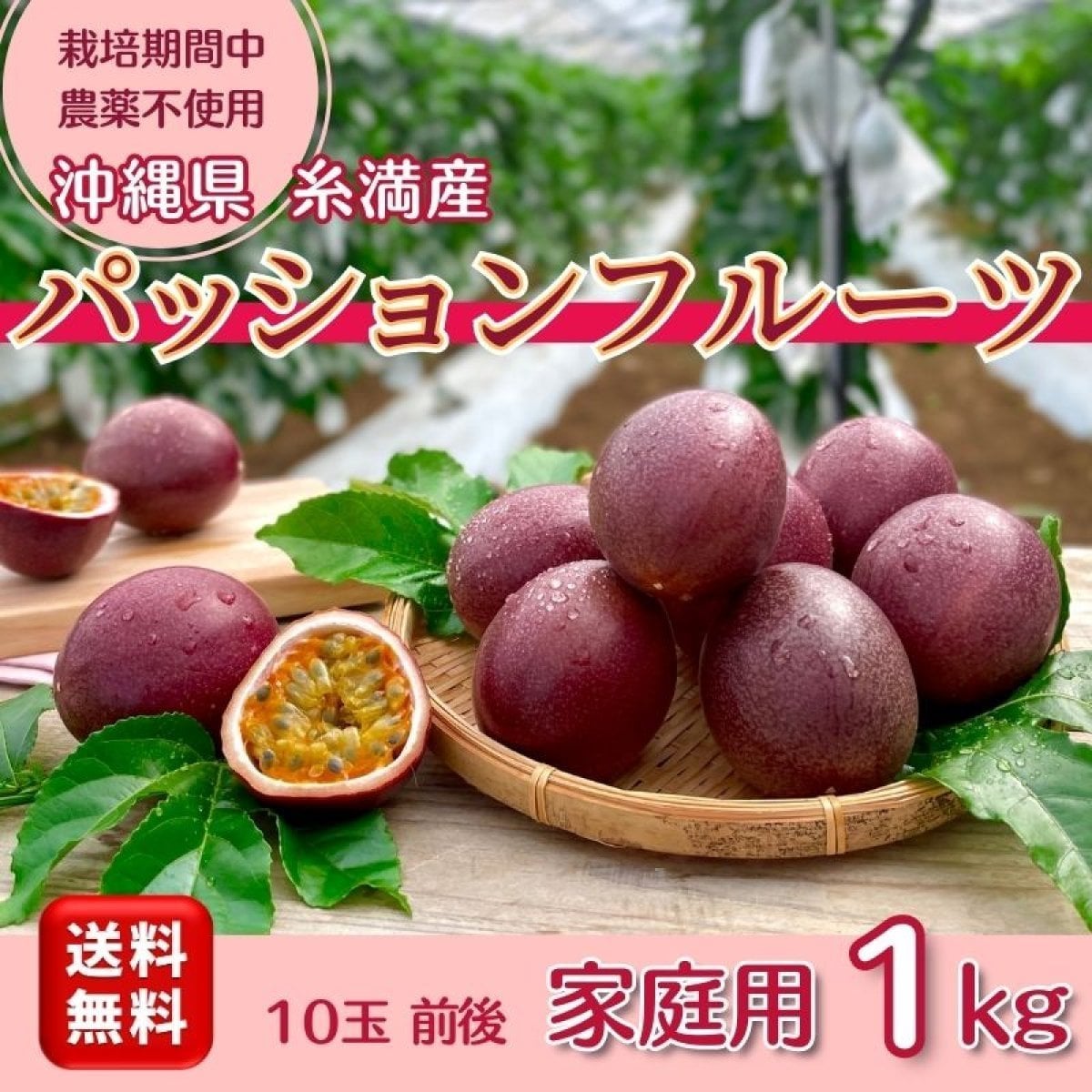 沖縄糸満産　無農薬パッションフルーツ　10玉前後