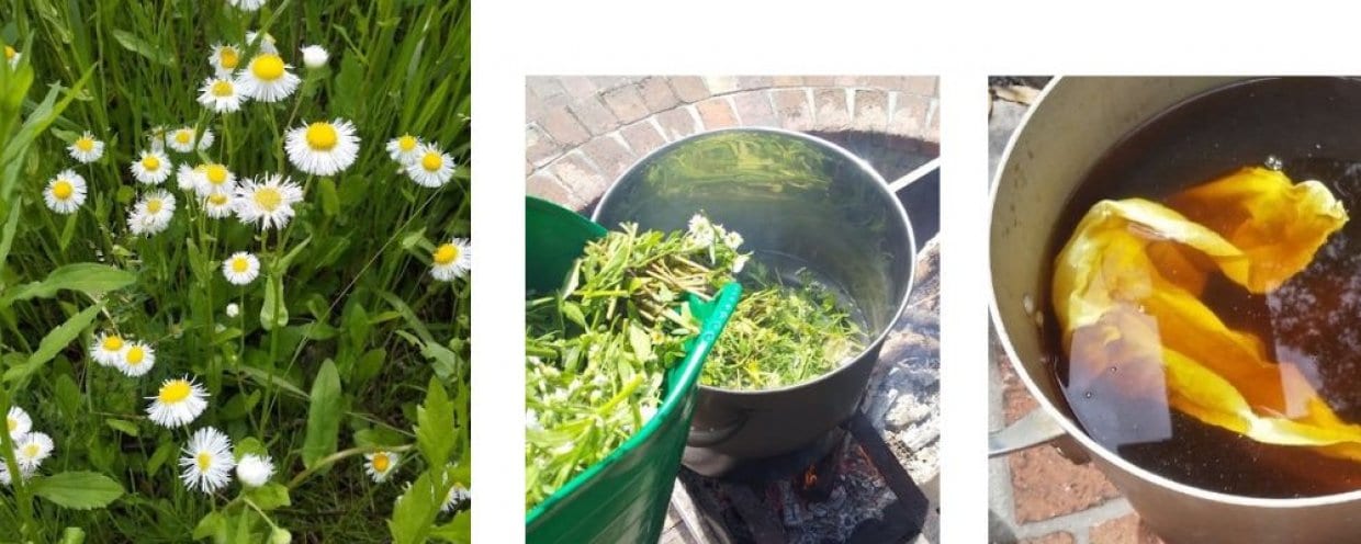 草木染染液を薪で煮る