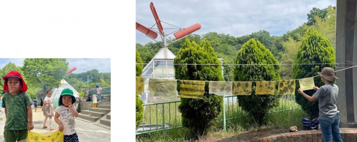 ハルジオンと風車棟