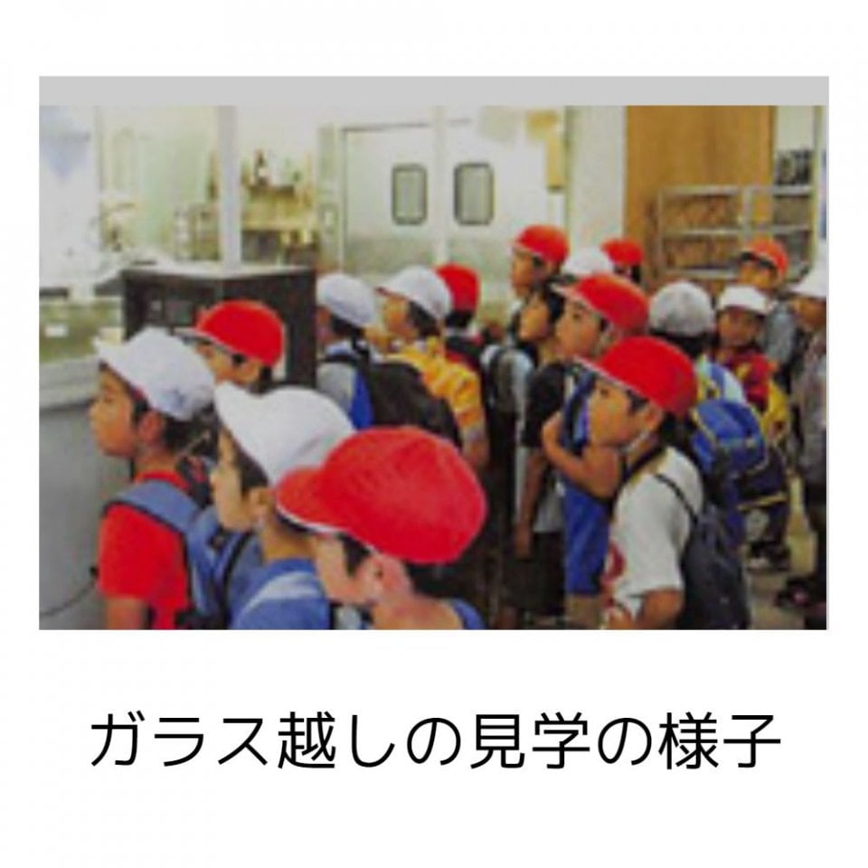 ガラス越しに蒲鉾作りを見学 小学生